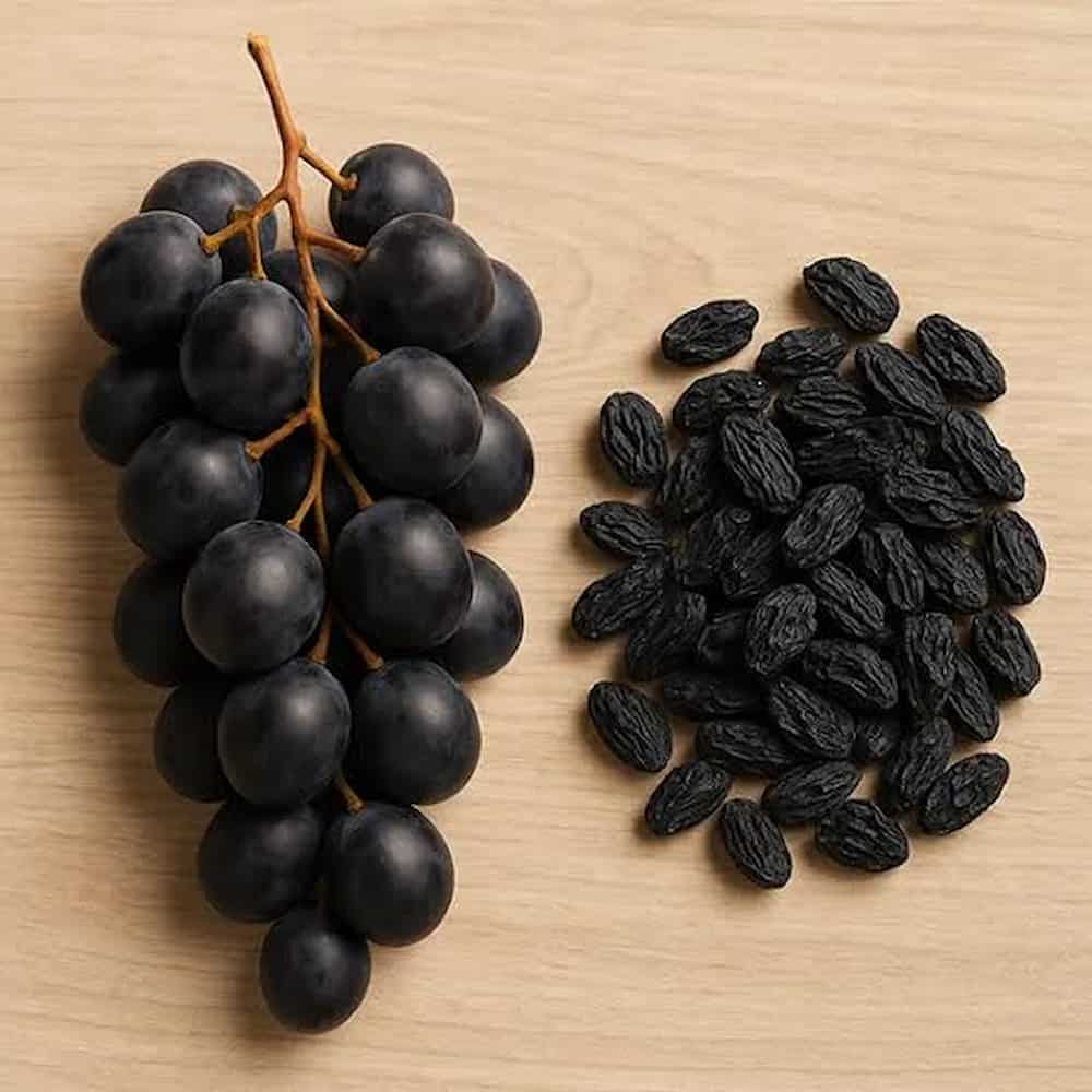 مویز شیراز با طعم اصیل تاکستان‌های فارس